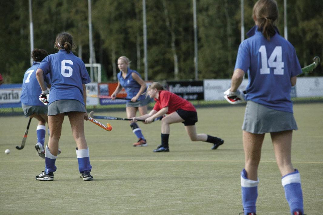 Harba Lorifa Valkenswaard